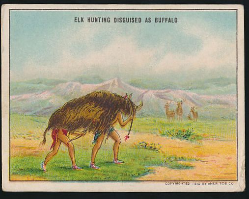 Elk Hunting Disguised As Buffalo